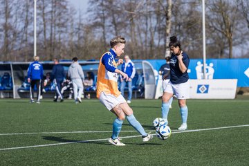 Bild 144 - F Hamburger SV 3 - Blau-Weiss 96 : Ergebnis: 5:1